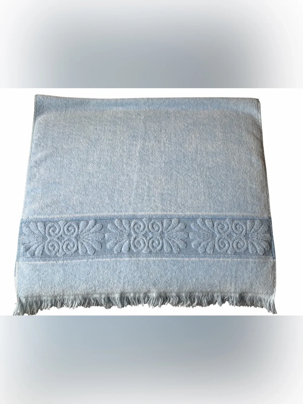 Cannon Vintage Towels Lot of 2, Fringed Jacquard Red and Light Blue